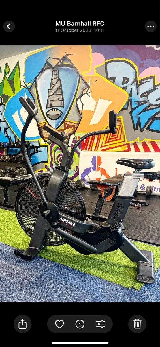 Assault bike elite