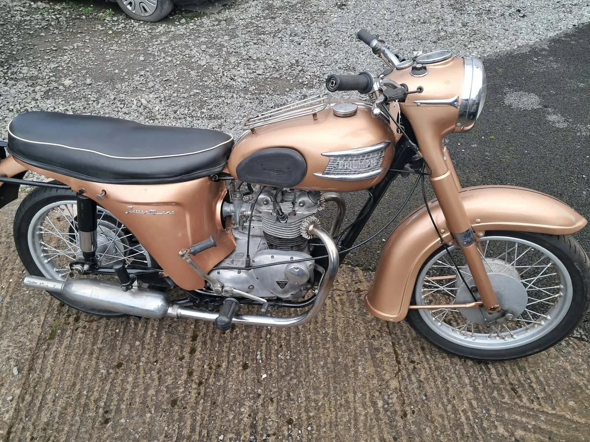 1964 350cc triumph 3TA - Image 2