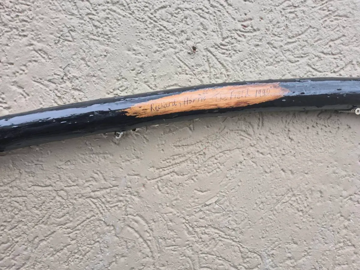 Walking stick - Image 2