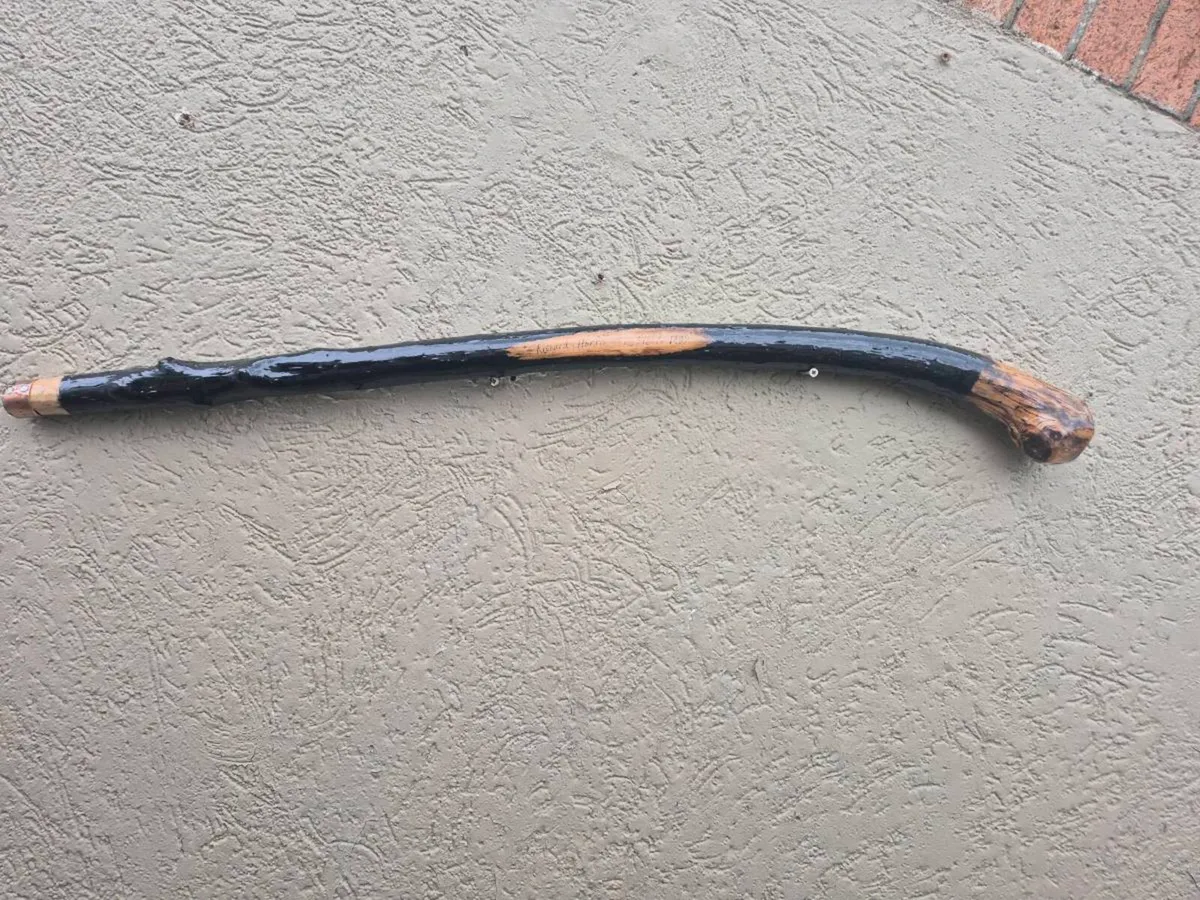 Walking stick - Image 1