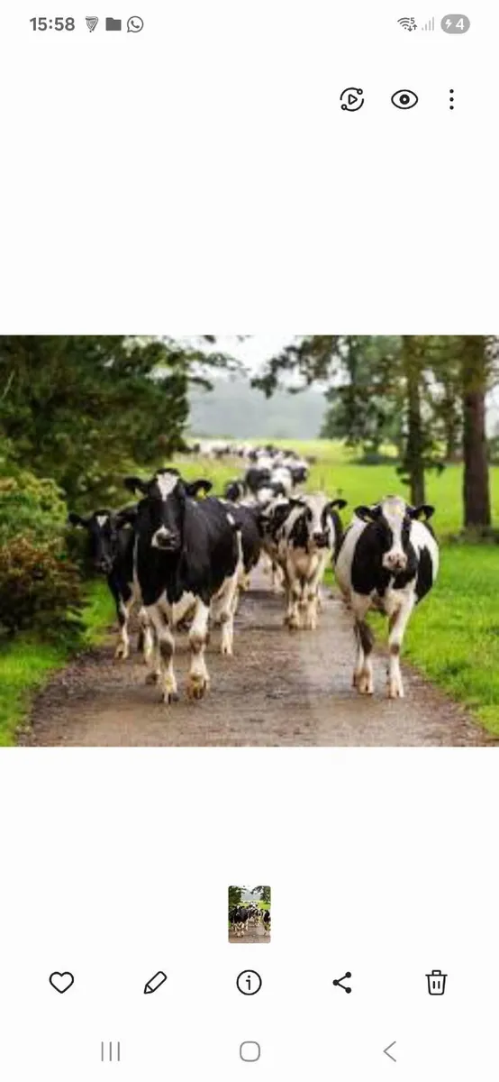 Farm work available - Image 2