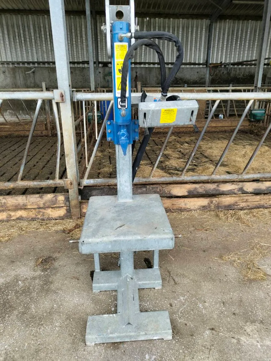 Log splitter - Image 2