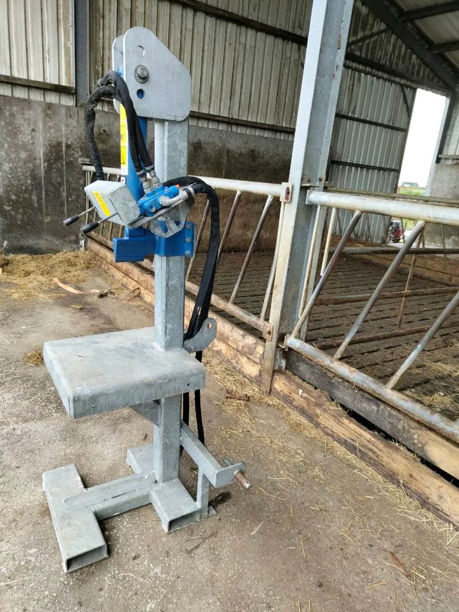 Log splitter - Image 4