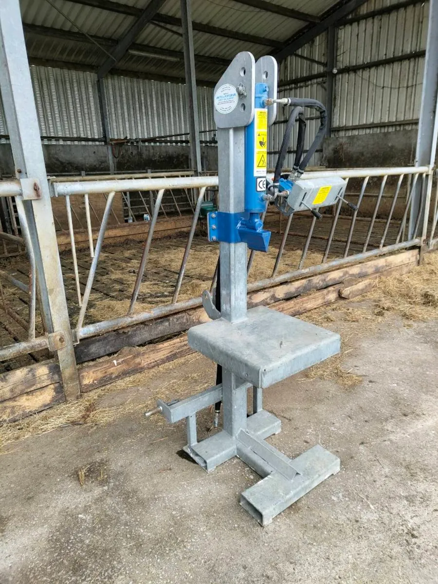 Log splitter - Image 1