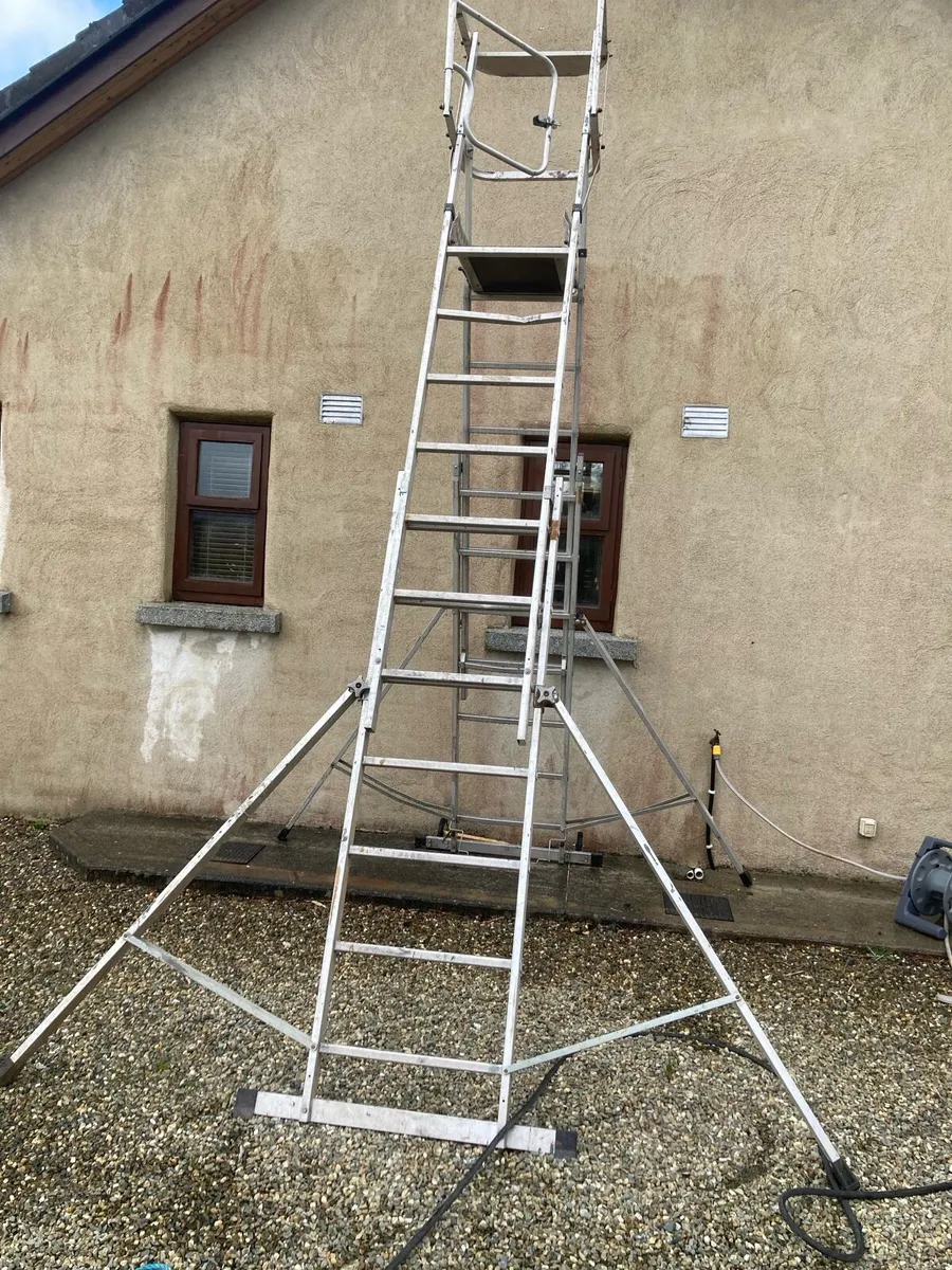 Podium Ladder - Image 1