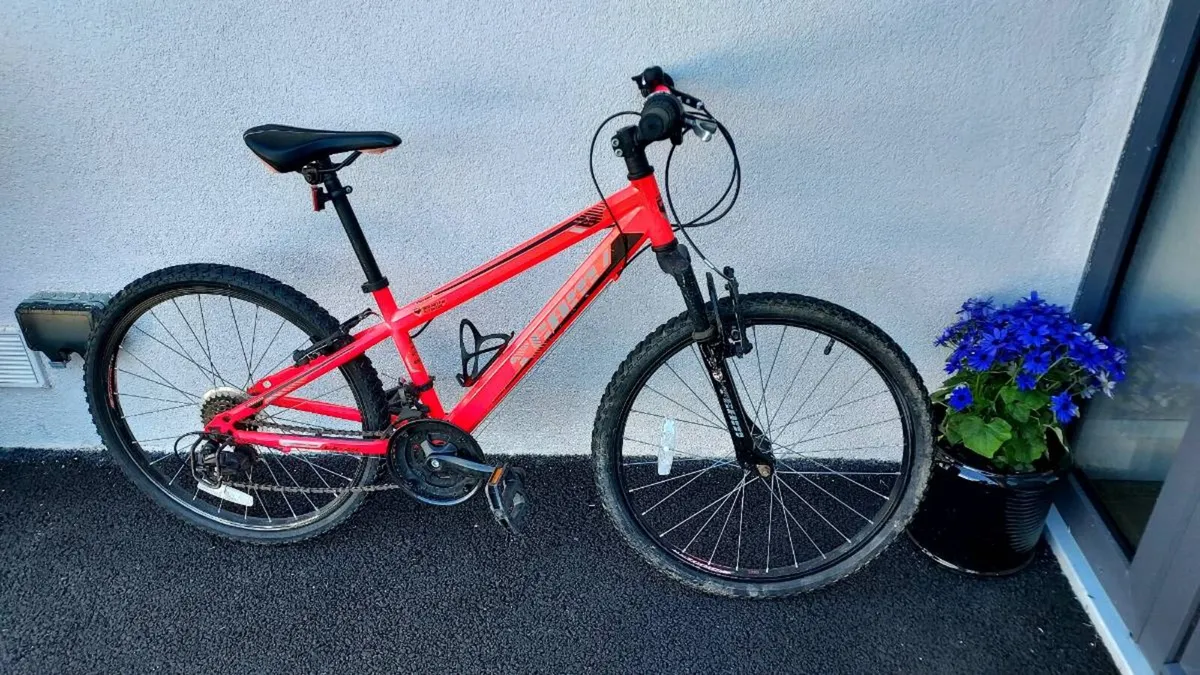 Bicycle - Image 1