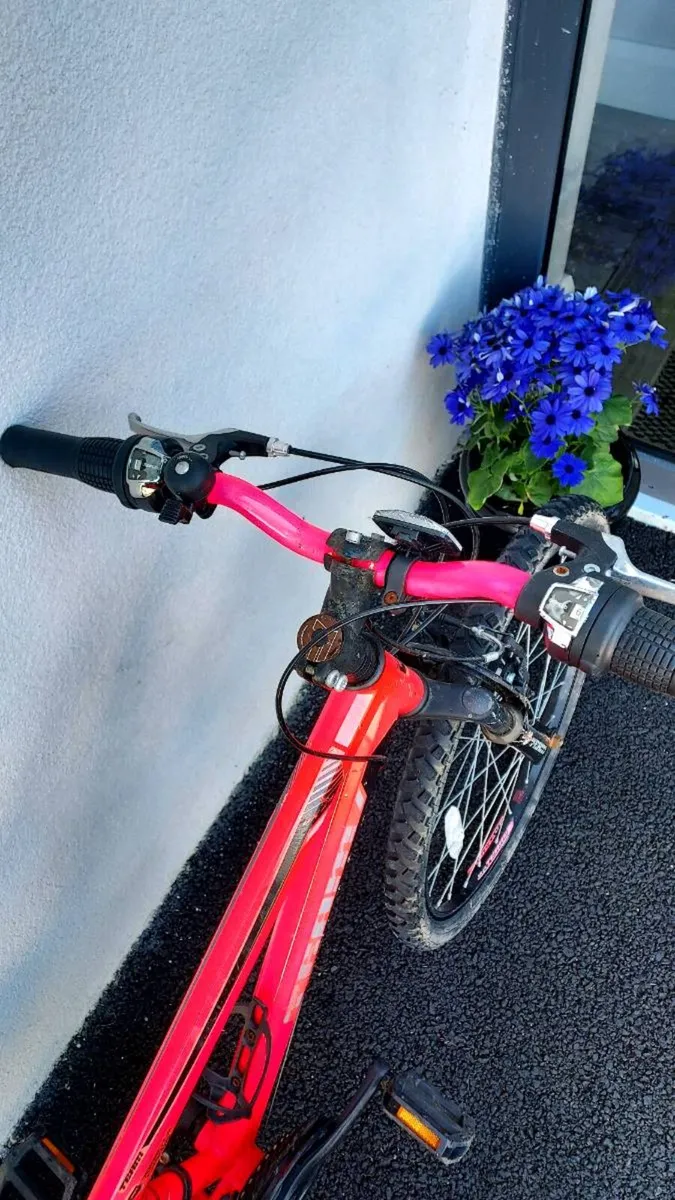 Bicycle - Image 2