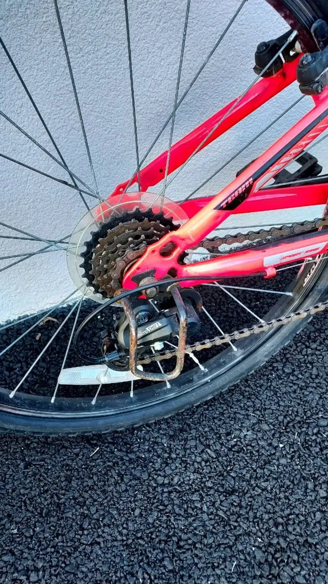 Bicycle - Image 3