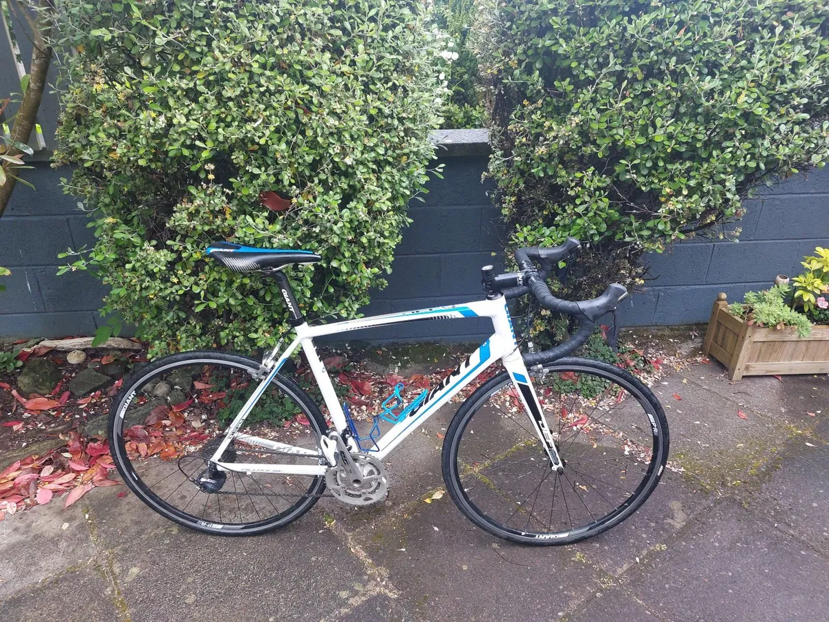 Giant Defy Alux SL – Full Ultegra 11 Speed - Image 3