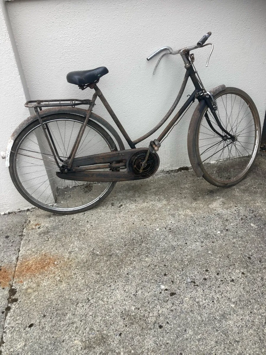 HIGH NELLY BIKE