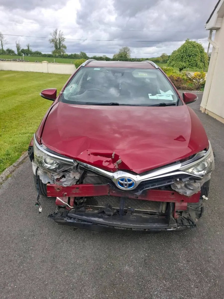 17 auris hybrid - Image 3
