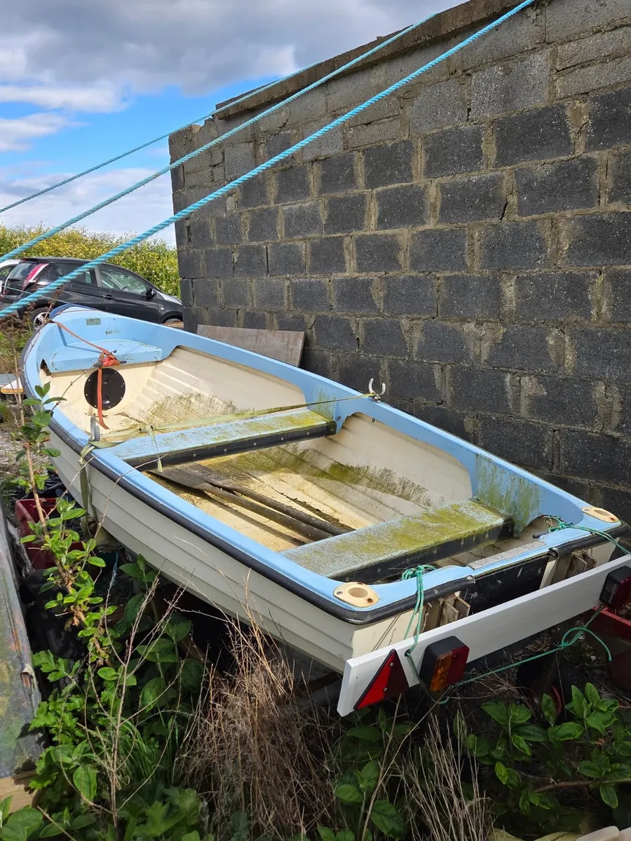 12 ft Darragh on trailer - Image 3