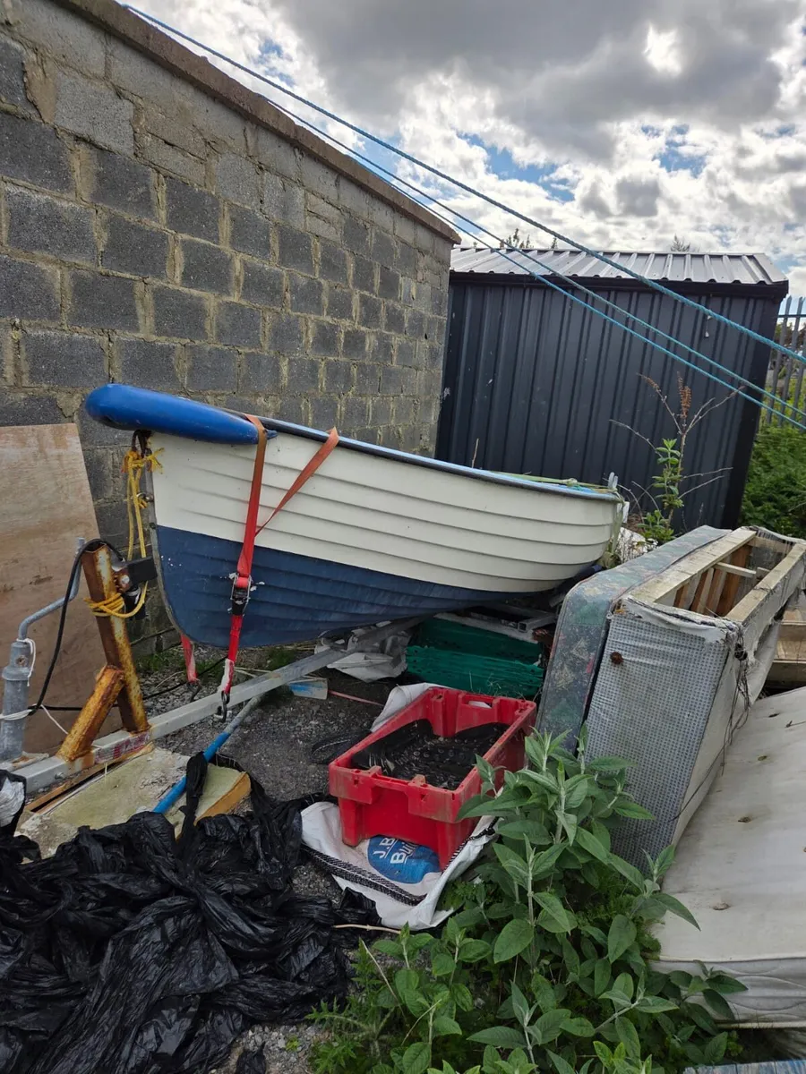 12 ft Darragh on trailer - Image 1