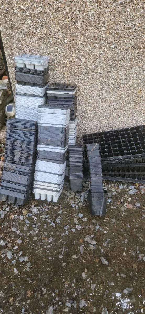 Large amout pots and trays for flowers FREE - Image 1