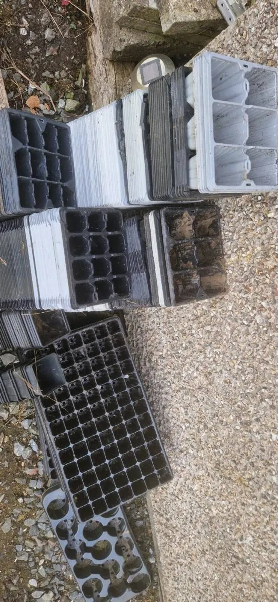 Large amout pots and trays for flowers FREE - Image 2