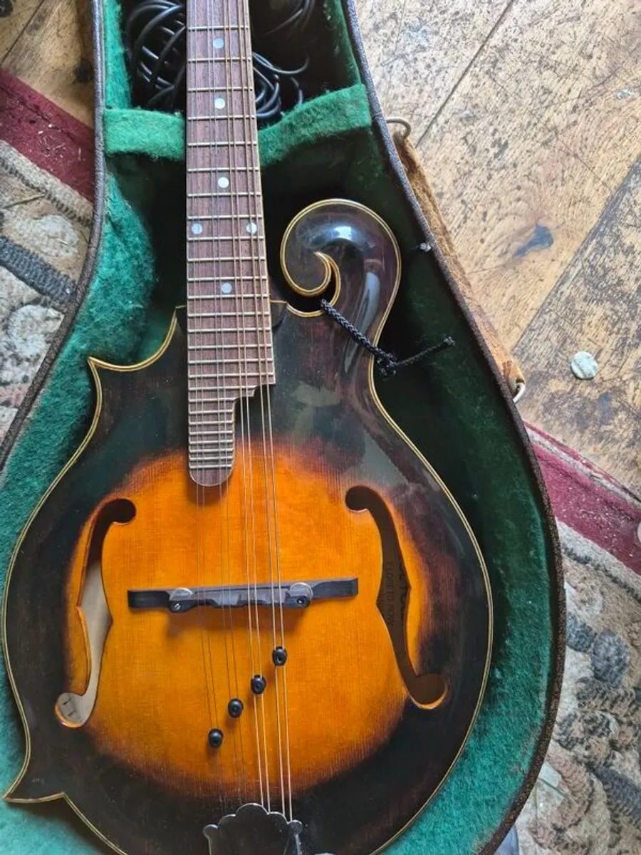 Joe Foley F style mandolin L/H - Image 2