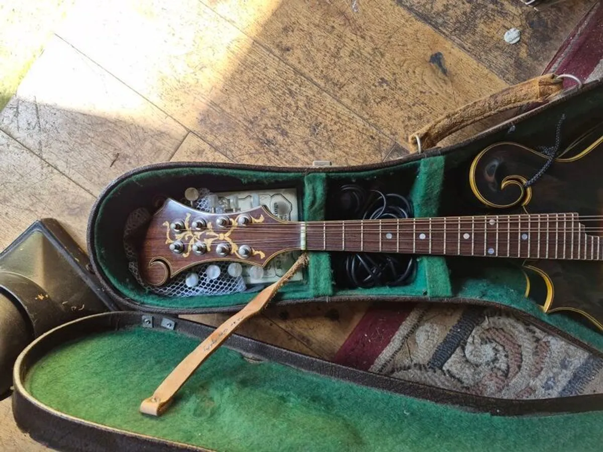 Joe Foley F style mandolin L/H - Image 3