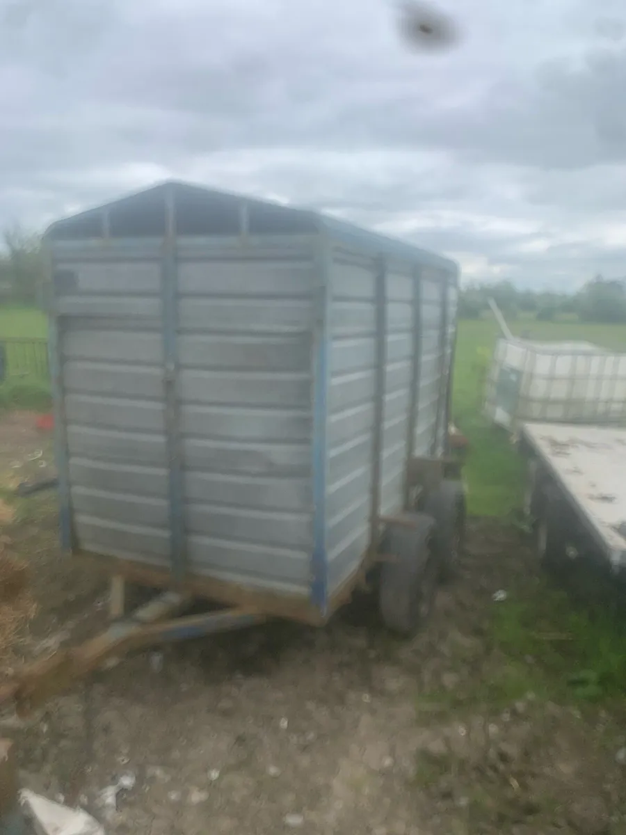 Cow box