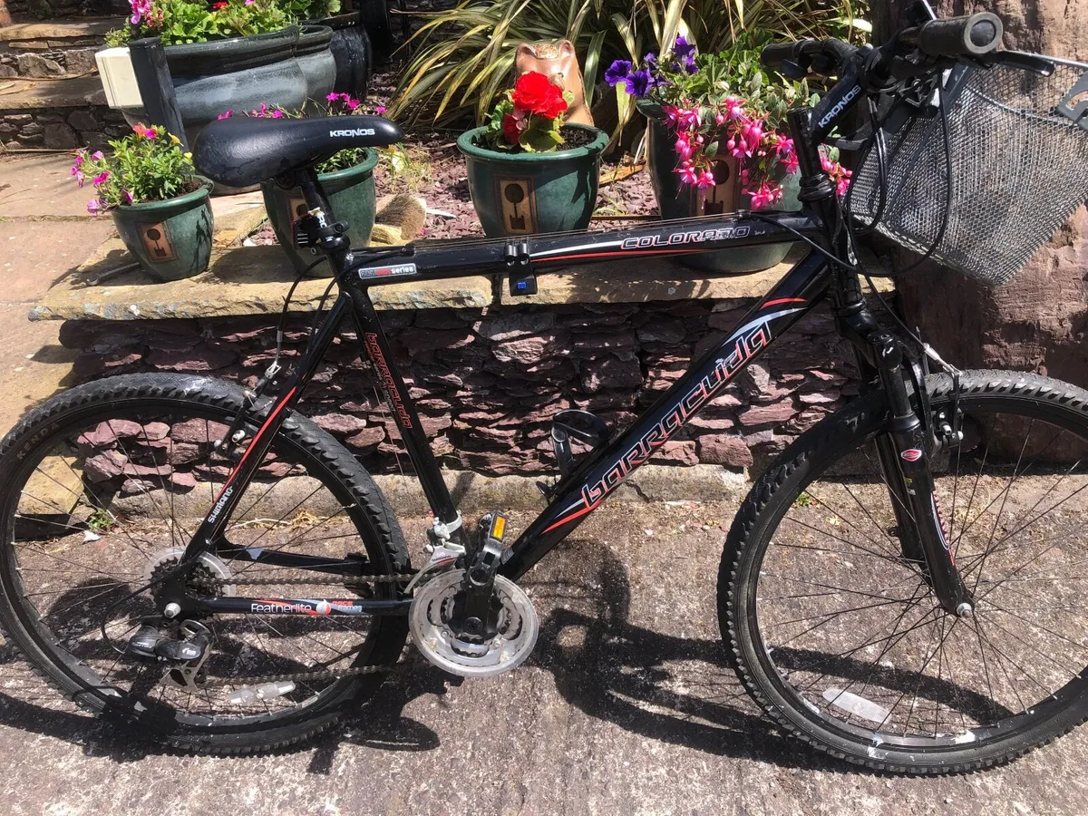Gents bike - Image 1