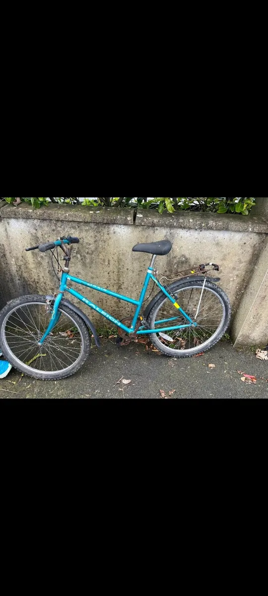Ladies 26inch Raleigh