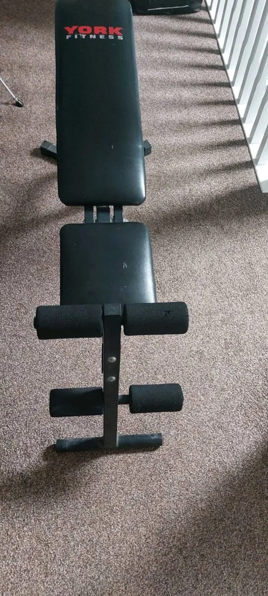 Bench curls and sit up - Image 2