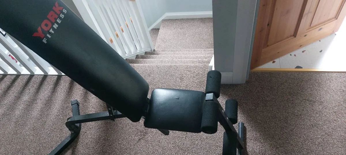 Bench curls and sit up - Image 3