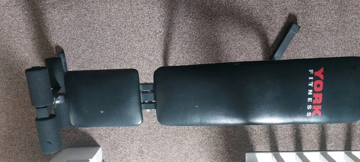 Bench curls and sit up - Image 4