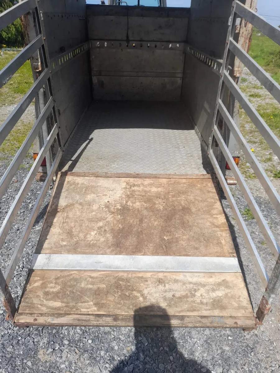 Murphy cattle trailer - Image 1