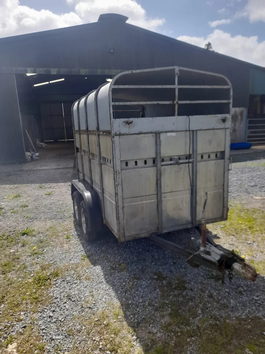 Murphy cattle trailer - Image 4