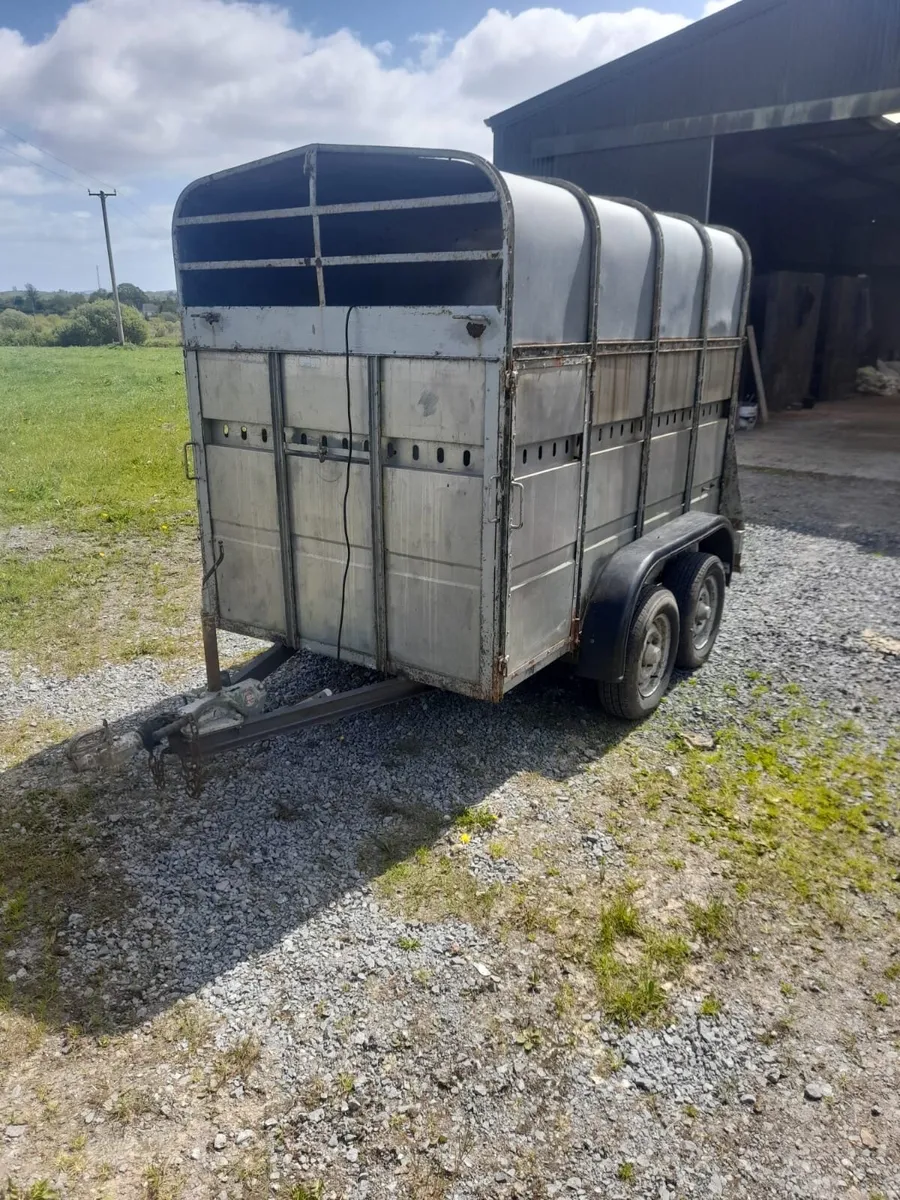 Murphy cattle trailer - Image 3