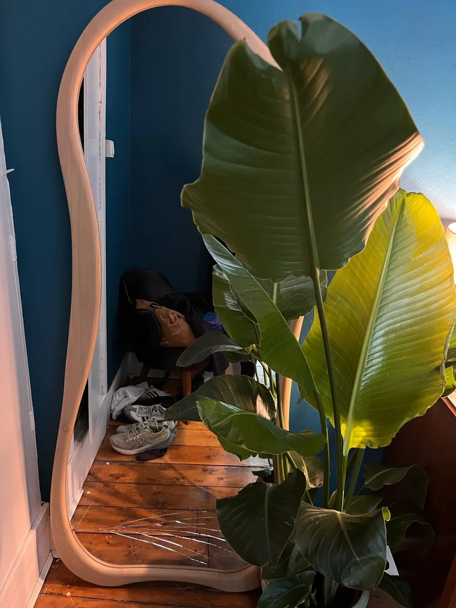 Mirror (asymmetric, wooden) - Image 1