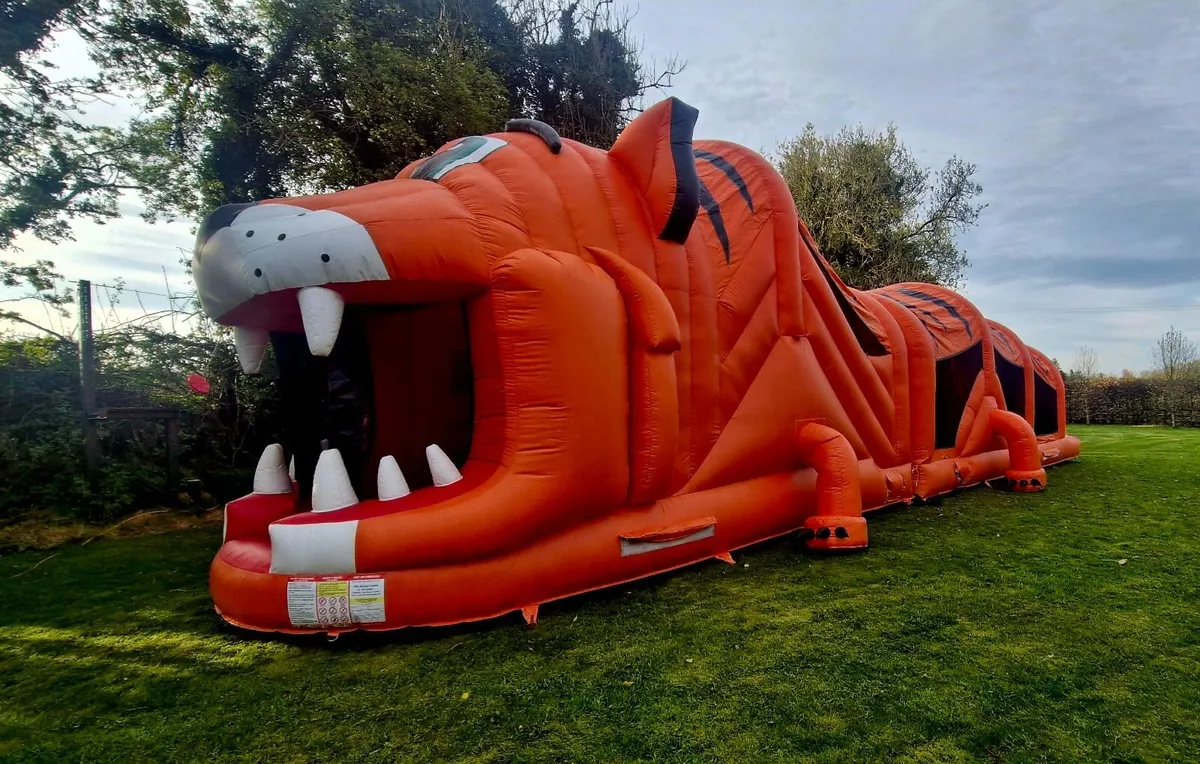 Inflatables for sale in Mullingar - Image 1