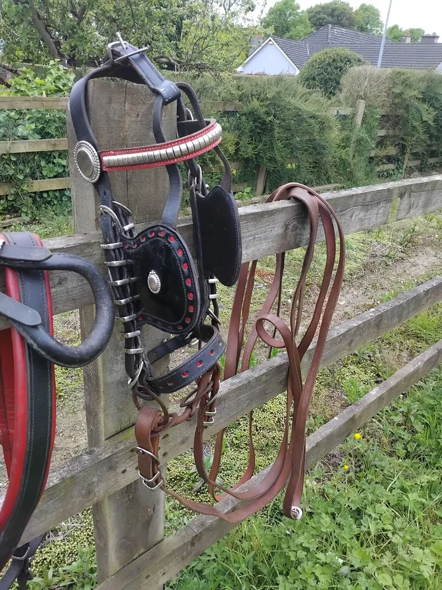 Horseshoe buckle driving harness - Image 1