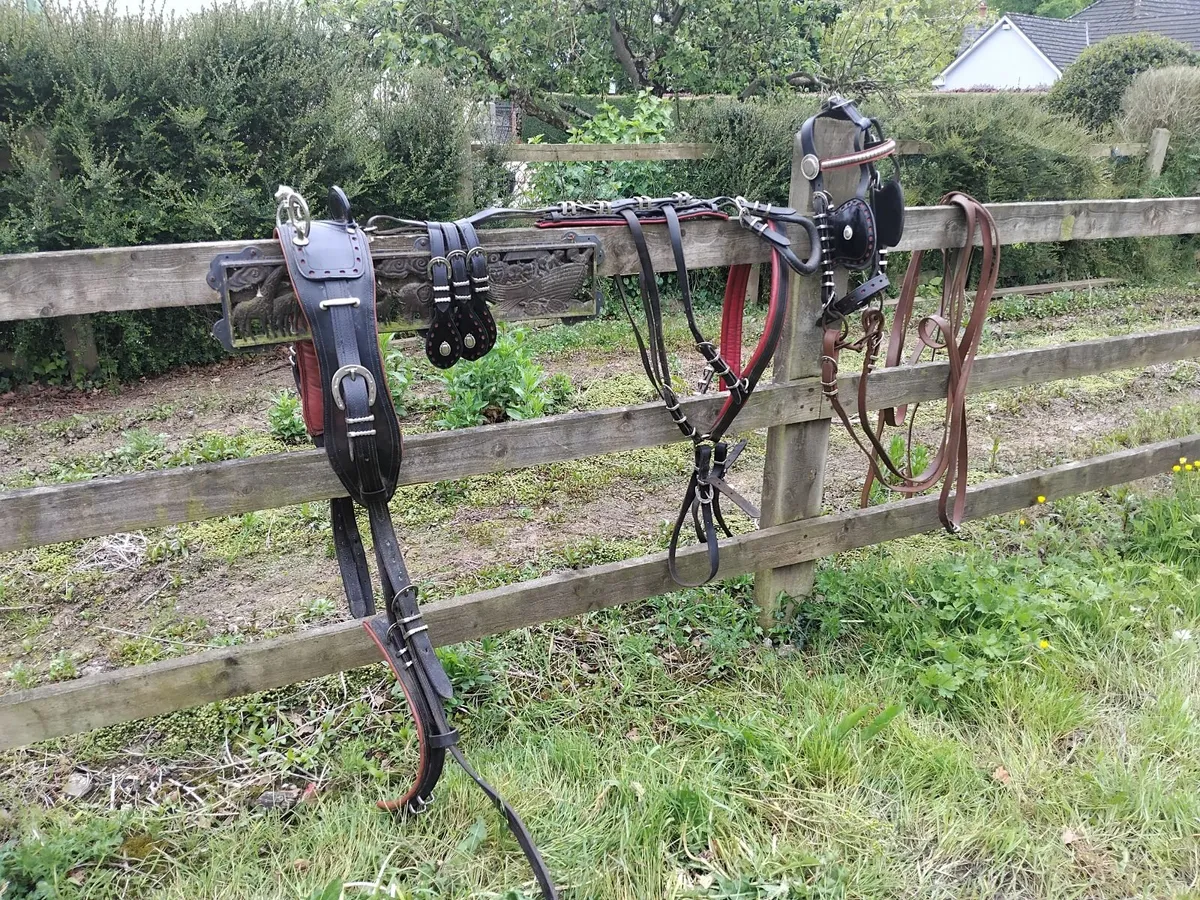Horseshoe buckle driving harness - Image 3