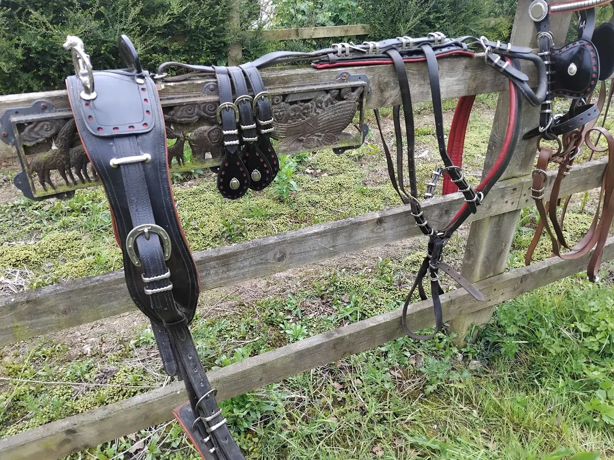 Horseshoe buckle driving harness - Image 4