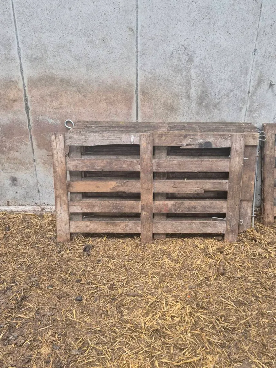 Sheep equipment CLEAR OUT - Image 2