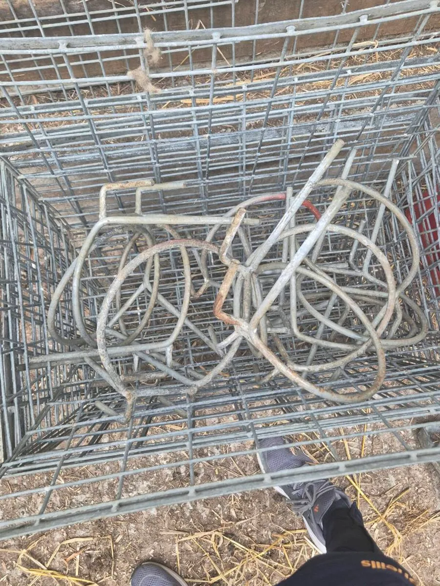 Sheep equipment CLEAR OUT - Image 3
