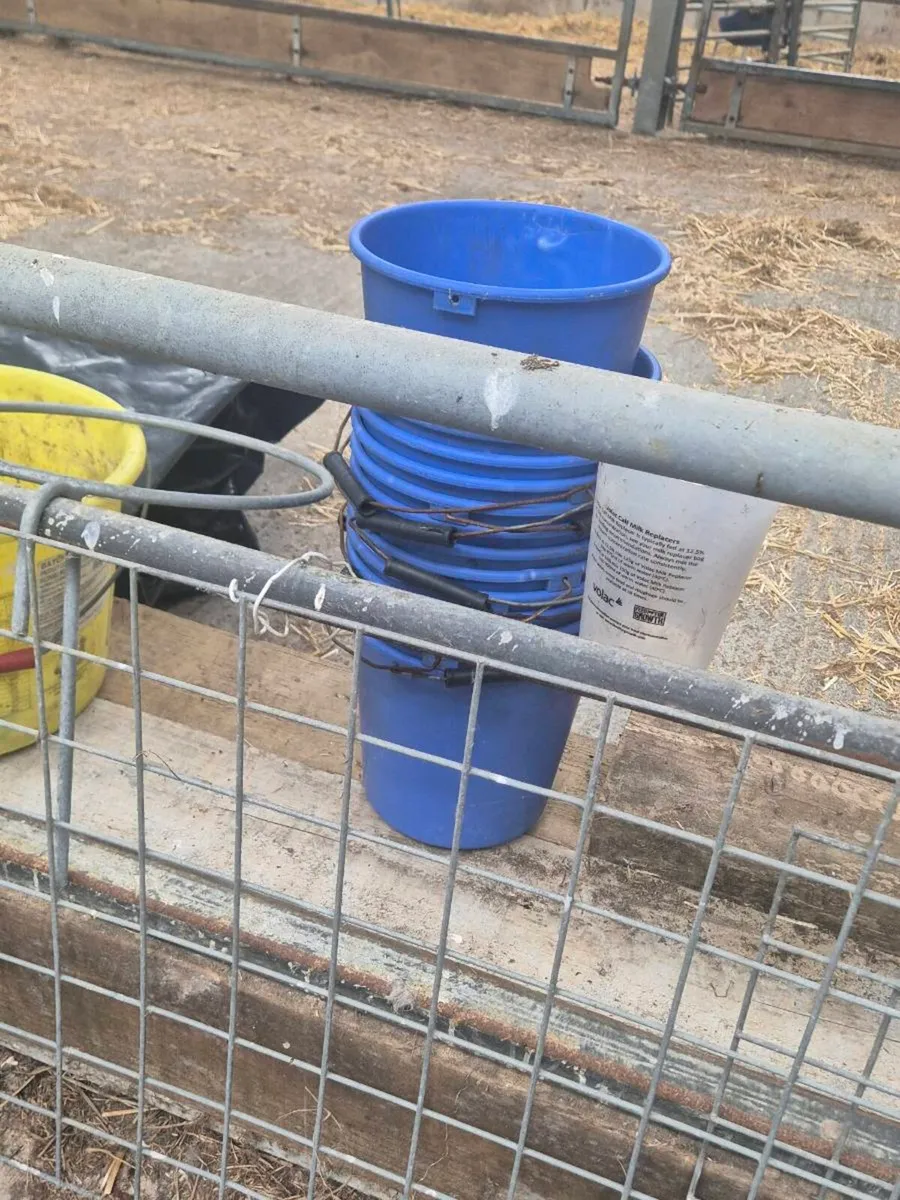 Sheep equipment CLEAR OUT - Image 4