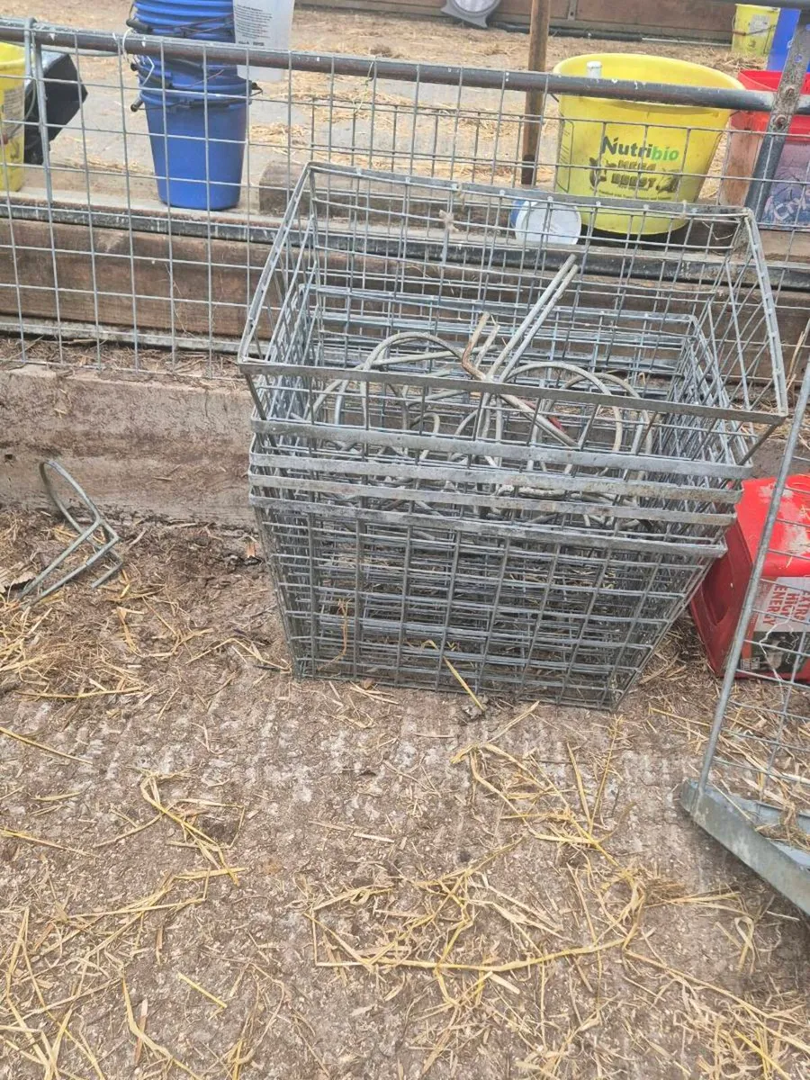Sheep equipment CLEAR OUT - Image 1