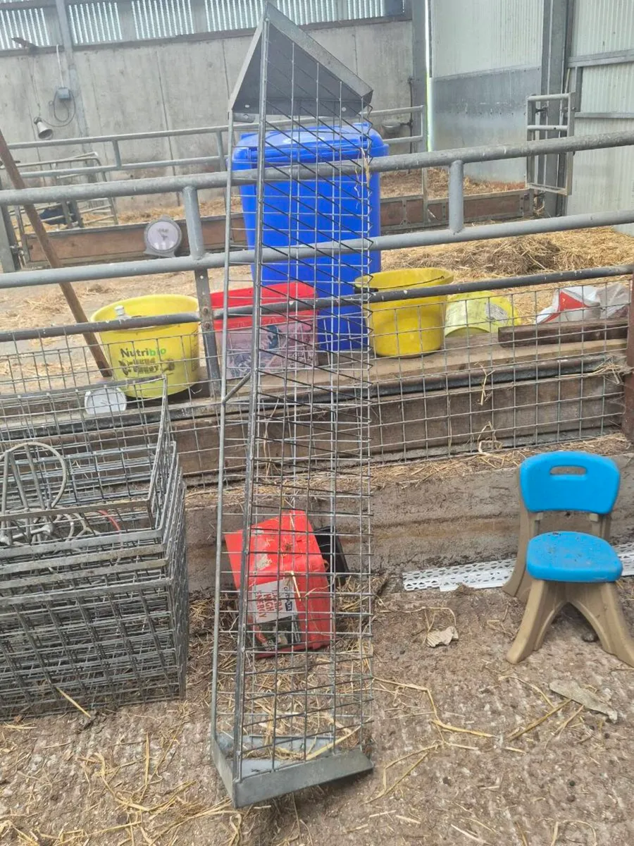 Sheep equipment CLEAR OUT - Image 2