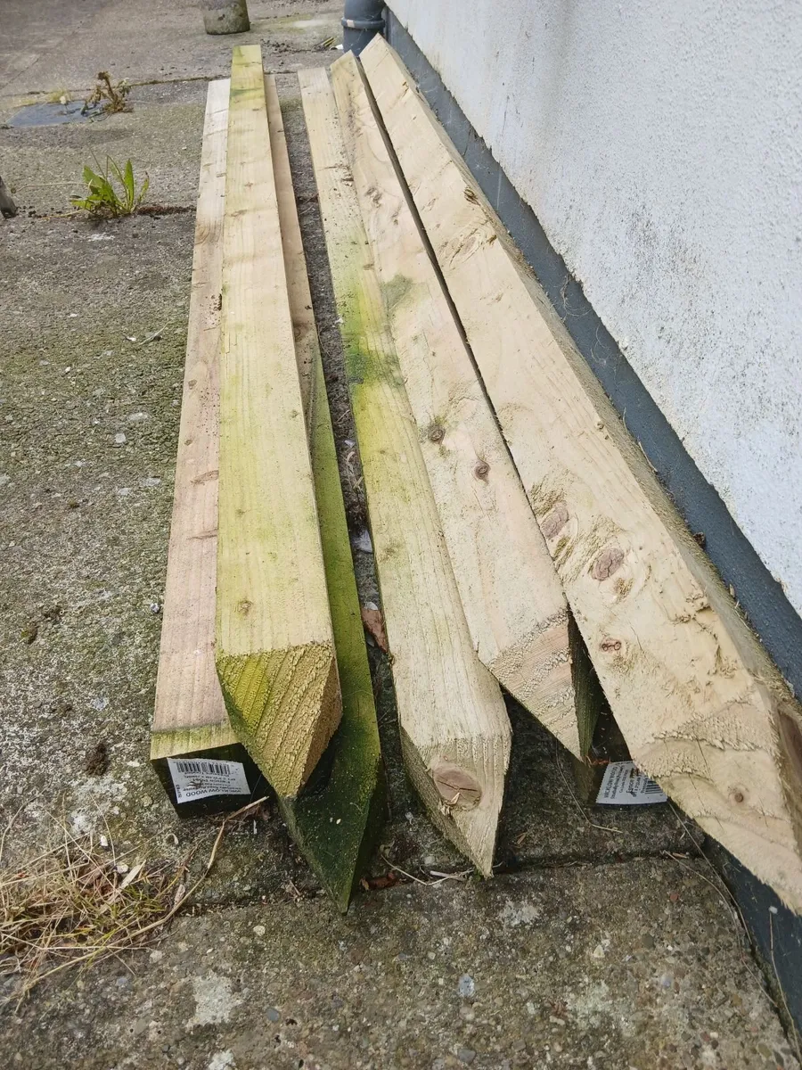 Timber fencing Sheets and timber posts. - Image 4