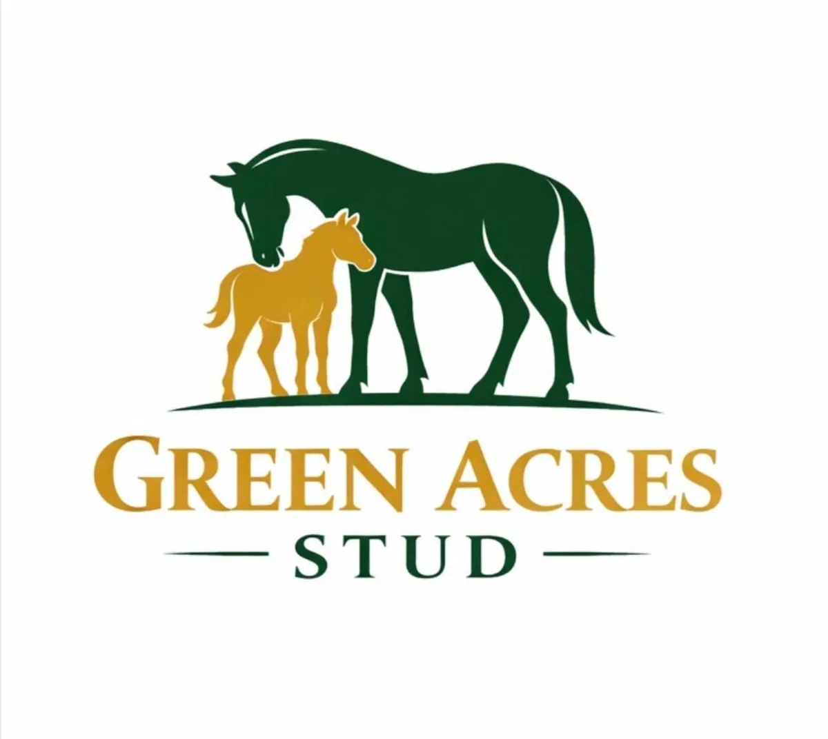 Breaking, Pre-Training, Sales Prep & Foaling - Image 1