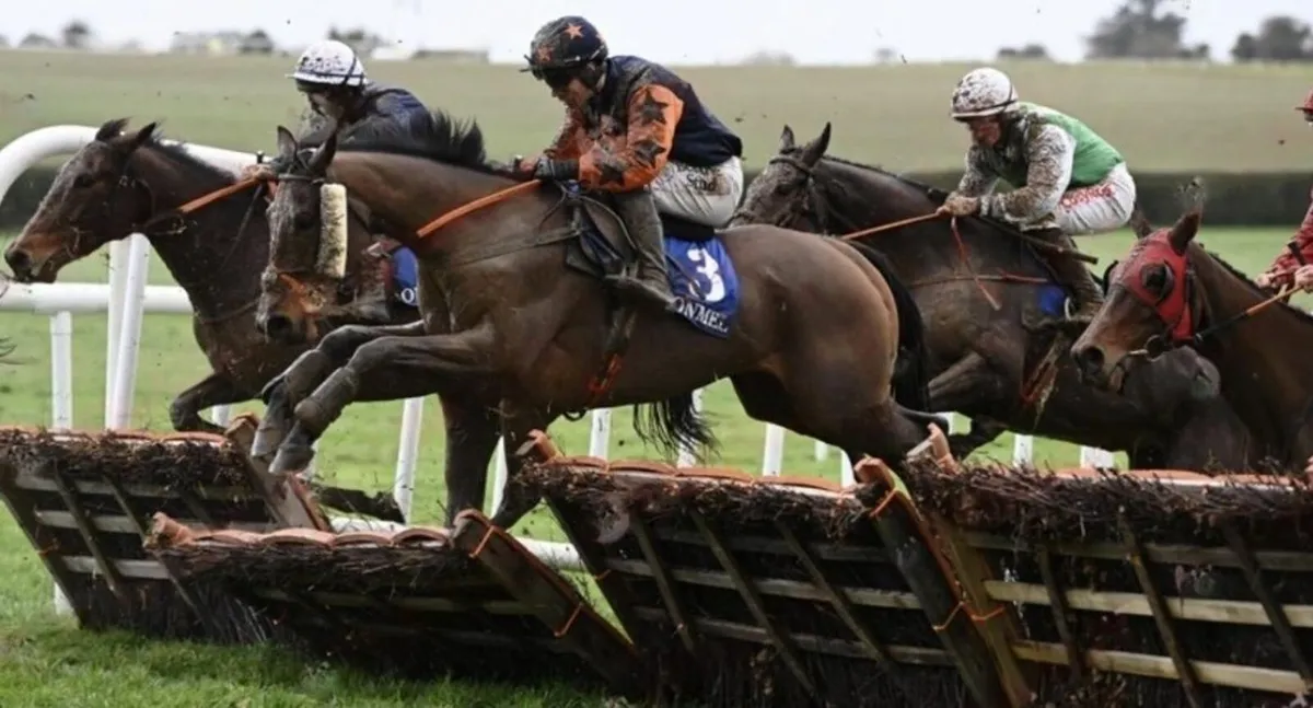 Breaking, Pre-Training, Sales Prep & Foaling - Image 4