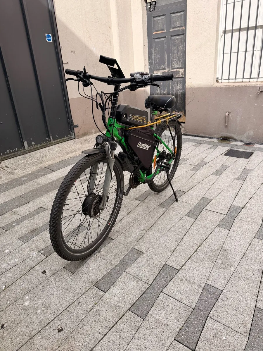 Electric bike - Image 1
