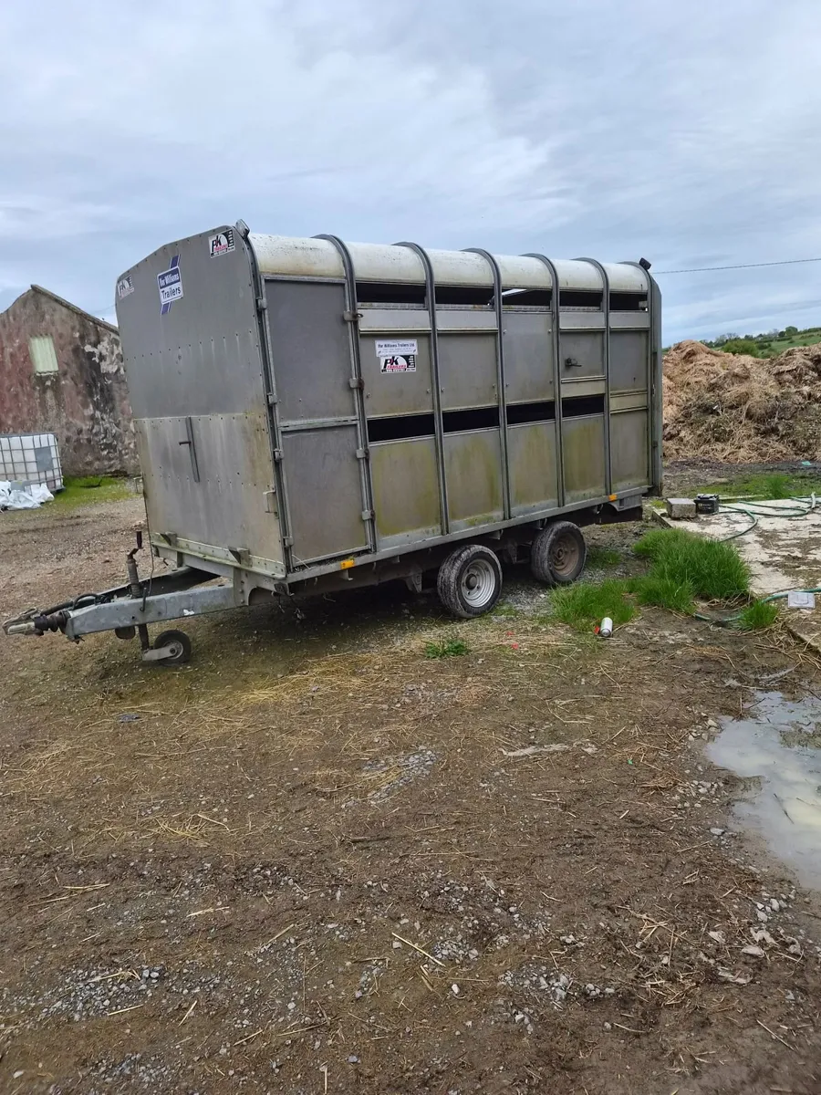 12ft ifor with decks - Image 1