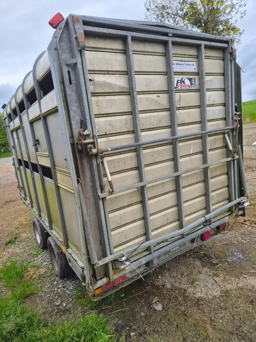 12ft ifor with decks - Image 2