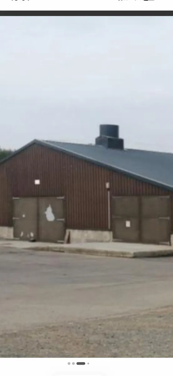 Poultry - Image 2
