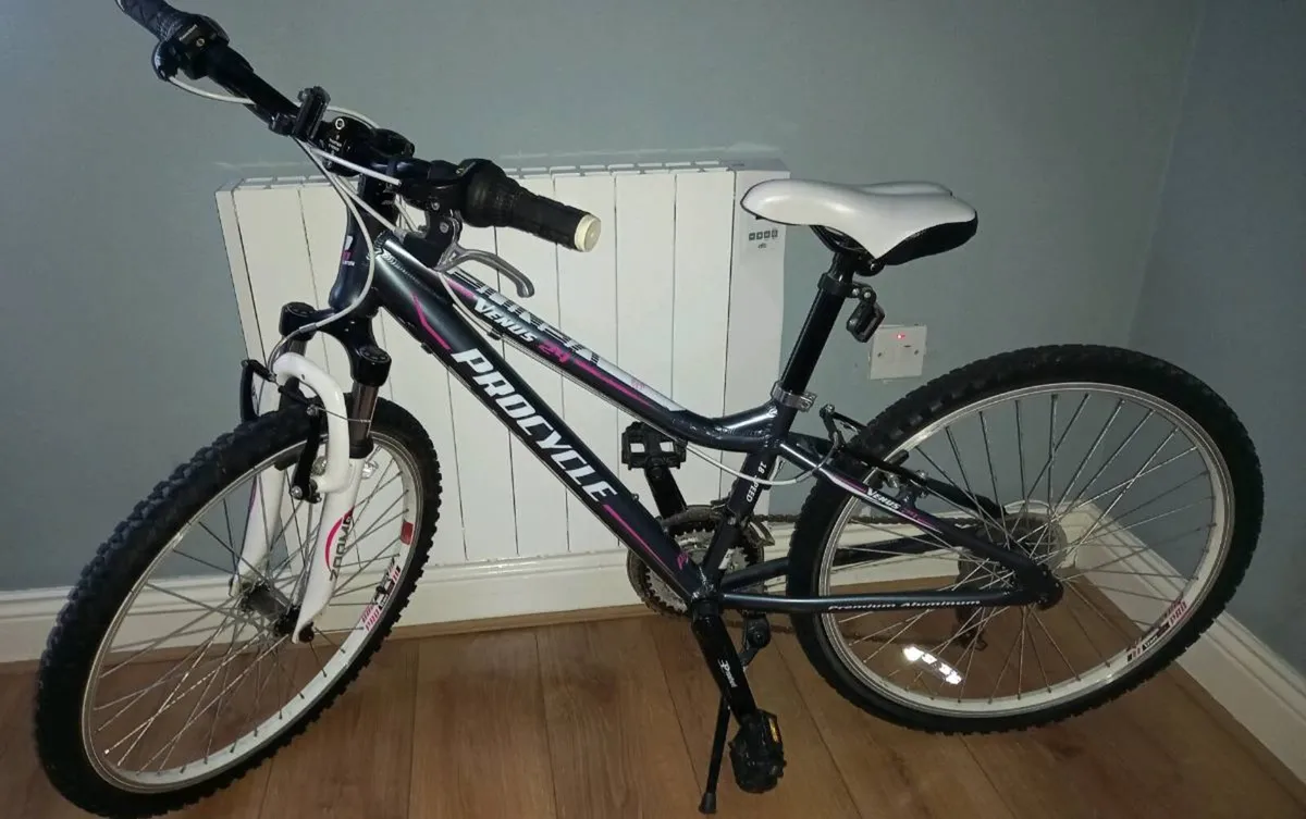 Bike - Image 1