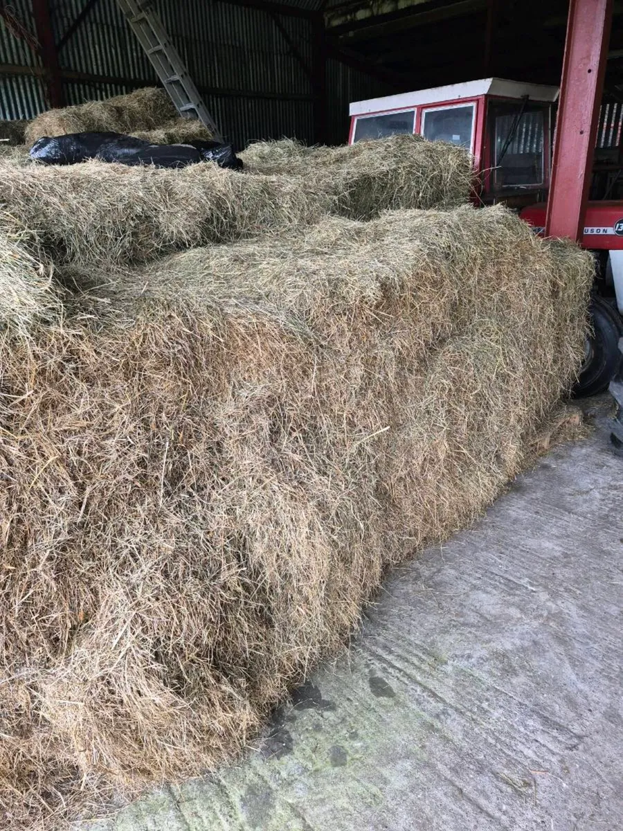 Square hay