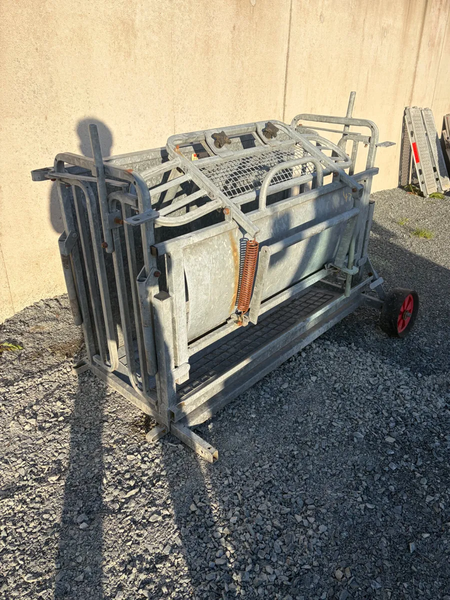 Ironwork Sheep Turnover Crate - Image 2